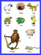 Animals Vocabulary For Kids