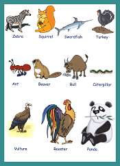 Animals Vocabulary For Kids