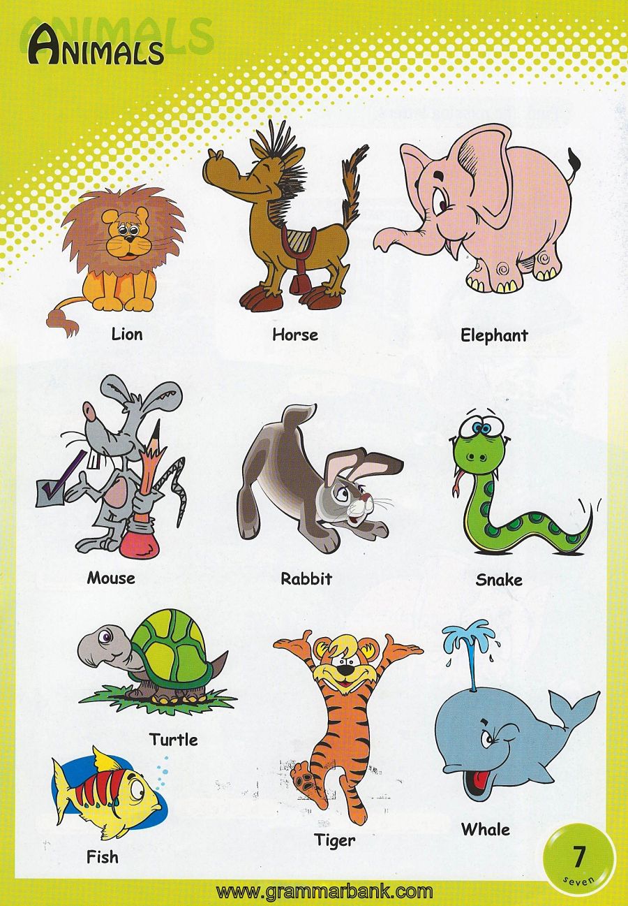 Animals Vocabulary For Kids