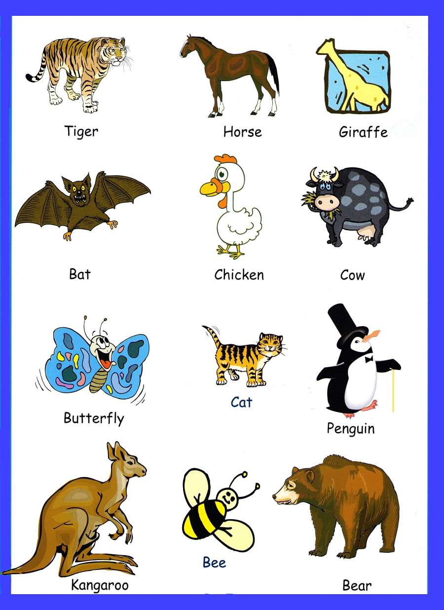 animals-vocabulary-for-kids